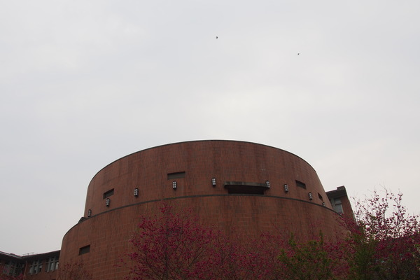 國立暨南大學：【南投・埔里】暨南大學賞櫻花