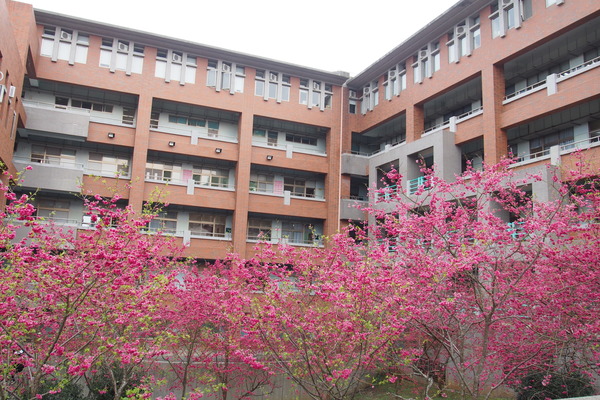 國立暨南大學：【南投・埔里】暨南大學賞櫻花