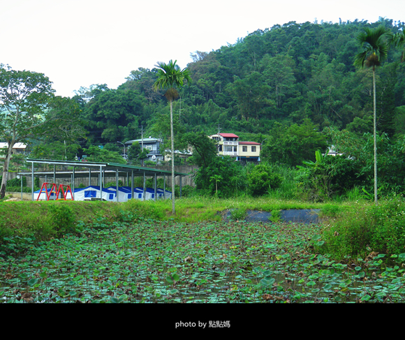 埔里佳園渡假山莊民宿:南投簡單出遊,走到哪玩到哪(特推薦給怕熱的你)