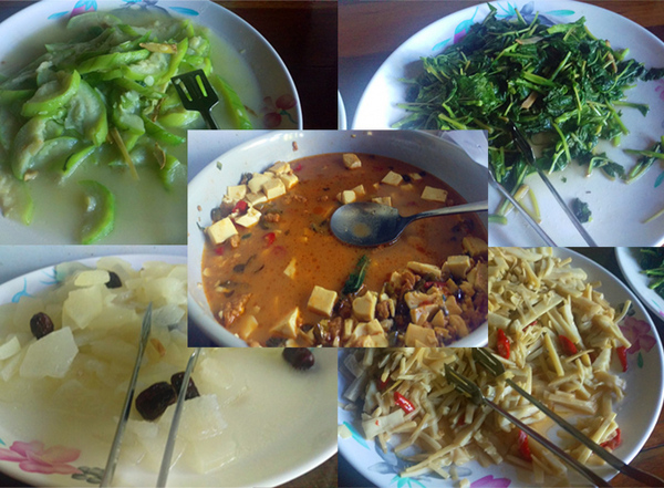 佳園渡假民宿:邊抓寶邊渡假~