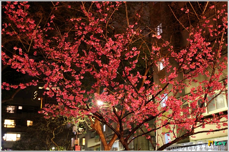 2013,02,05米特【呼搭啦生蠔‧孜然串燒屋】台北內湖成功店捷運站串燒美食餐廳食記002