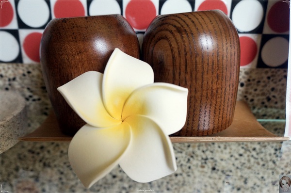 明水露渡假民宿：[民宿度假去]宜蘭明水露~田園、木質、有機