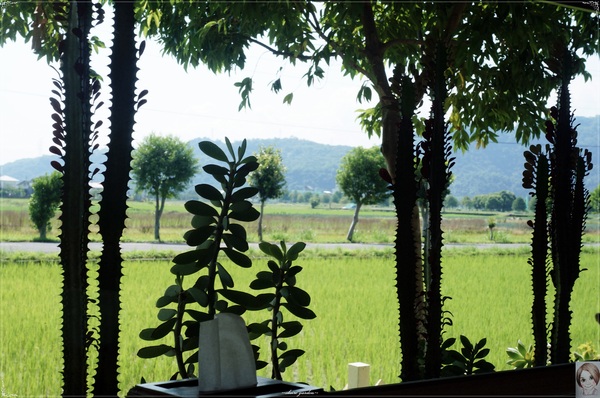 明水露渡假民宿：[民宿度假去]宜蘭明水露~田園、木質、有機