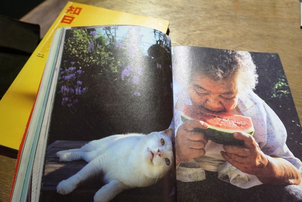 a day 日常生活咖啡:松菸 日常生活 - 週末限定輕套餐