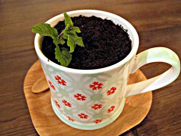 IMG_4673 [640x480].JPG