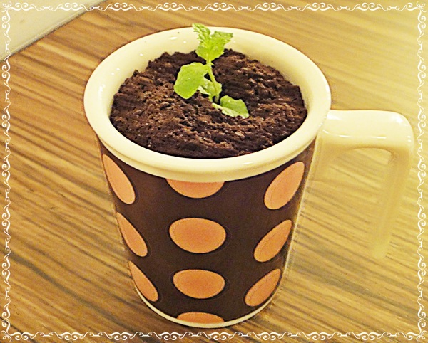 溫古咖啡Wengu cafe:✜ 讓人有好心情滴簡單小確幸 -「溫古咖啡」(* ̄︶ ̄*)