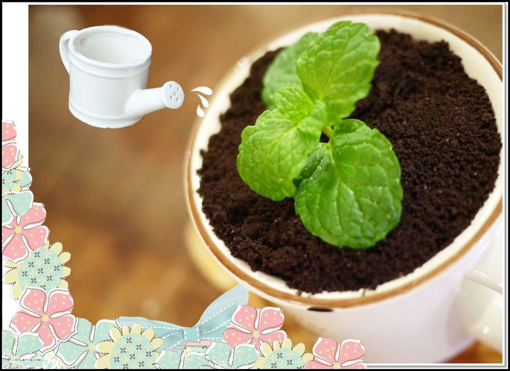 溫古咖啡 4911.jpg