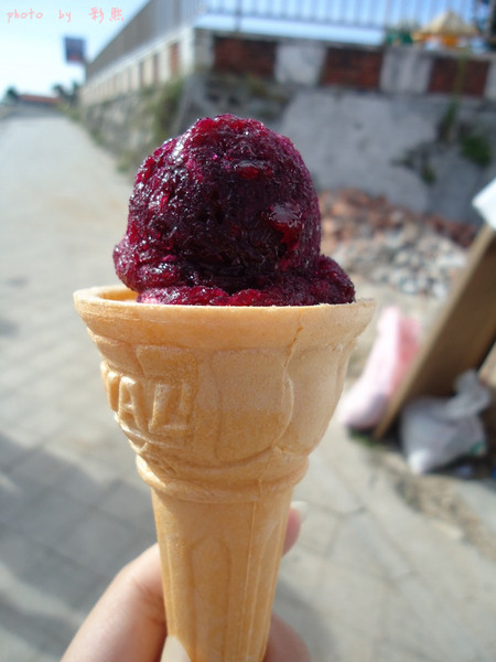 易家仙人掌冰淇淋:易家仙人掌冰