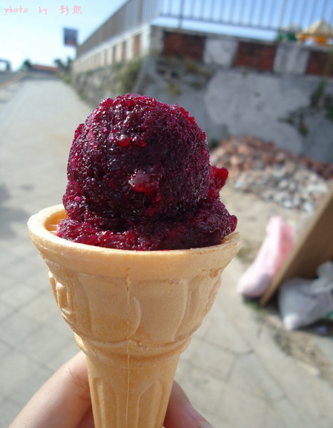 易家仙人掌冰淇淋:易家仙人掌冰