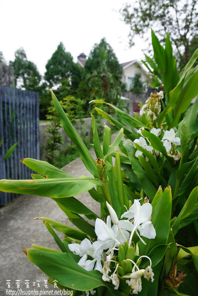 二泉湖畔 (9).JPG