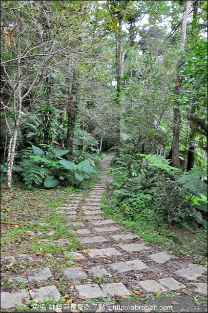 內湖國小：[南投鹿谷]內湖國民小學–超日系森林小學、唯美校園系列part 3