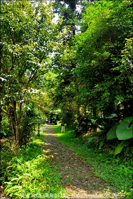 內湖國小：[南投鹿谷]內湖國民小學–超日系森林小學、唯美校園系列part 3