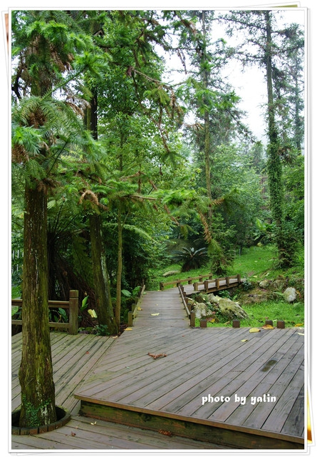 內湖國小:南投鹿谷夢幻學校「內湖國小」能在這裡讀書好幸福