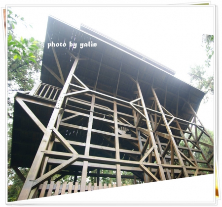 內湖國小:南投鹿谷夢幻學校「內湖國小」能在這裡讀書好幸福