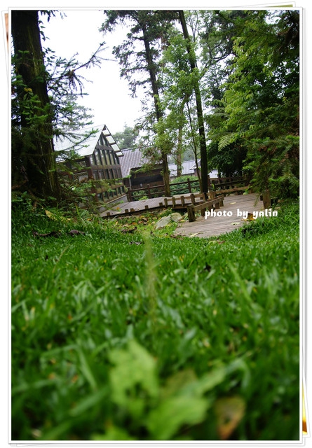 內湖國小:南投鹿谷夢幻學校「內湖國小」能在這裡讀書好幸福