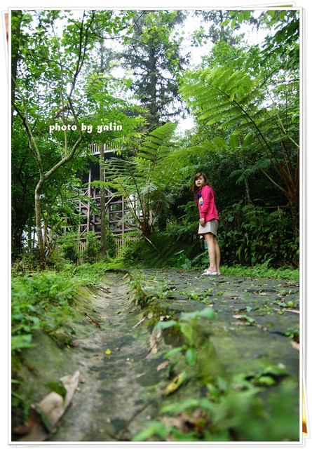 內湖國小:南投鹿谷夢幻學校「內湖國小」能在這裡讀書好幸福