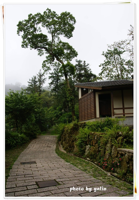 內湖國小:南投鹿谷夢幻學校「內湖國小」能在這裡讀書好幸福