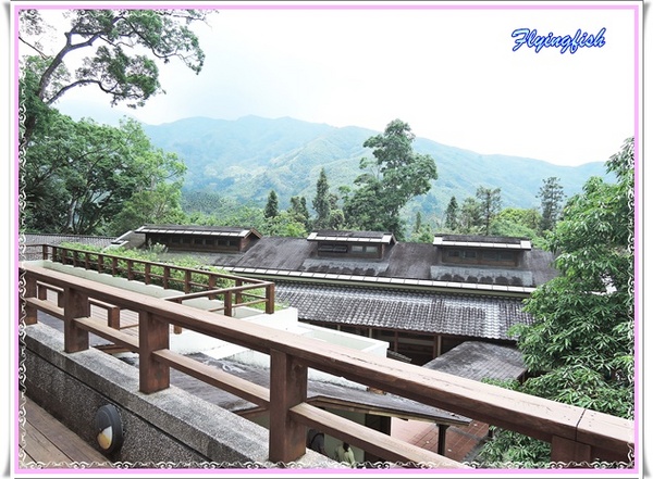 內湖國小：✜ 到堪稱台灣最美麗滴森林小學朝聖去^^ -「內湖國小」◕ω◕