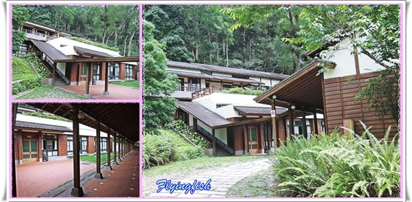 內湖國小：✜ 到堪稱台灣最美麗滴森林小學朝聖去^^ -「內湖國小」◕ω◕