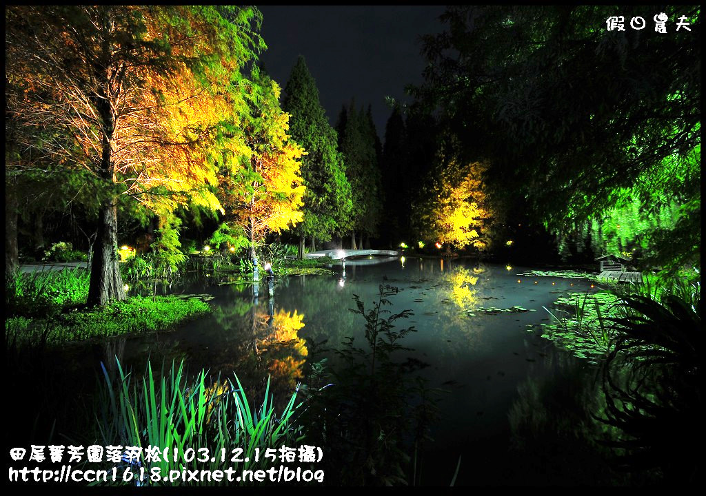 田尾菁芳園落羽松_DSC9223