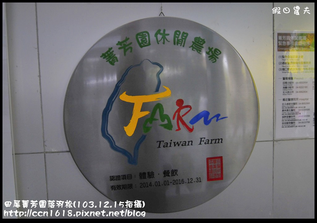 田尾菁芳園落羽松_DSC9099