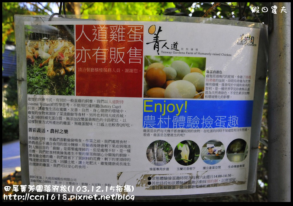 田尾菁芳園落羽松_DSC9067