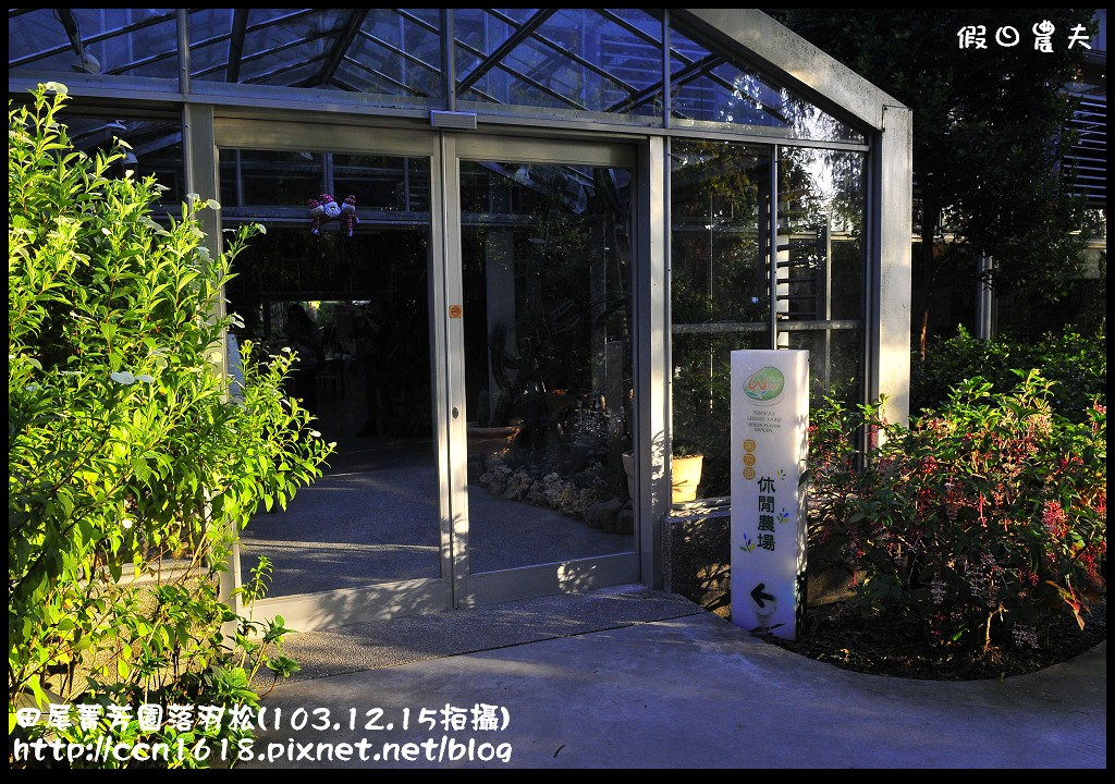 田尾菁芳園落羽松_DSC9042