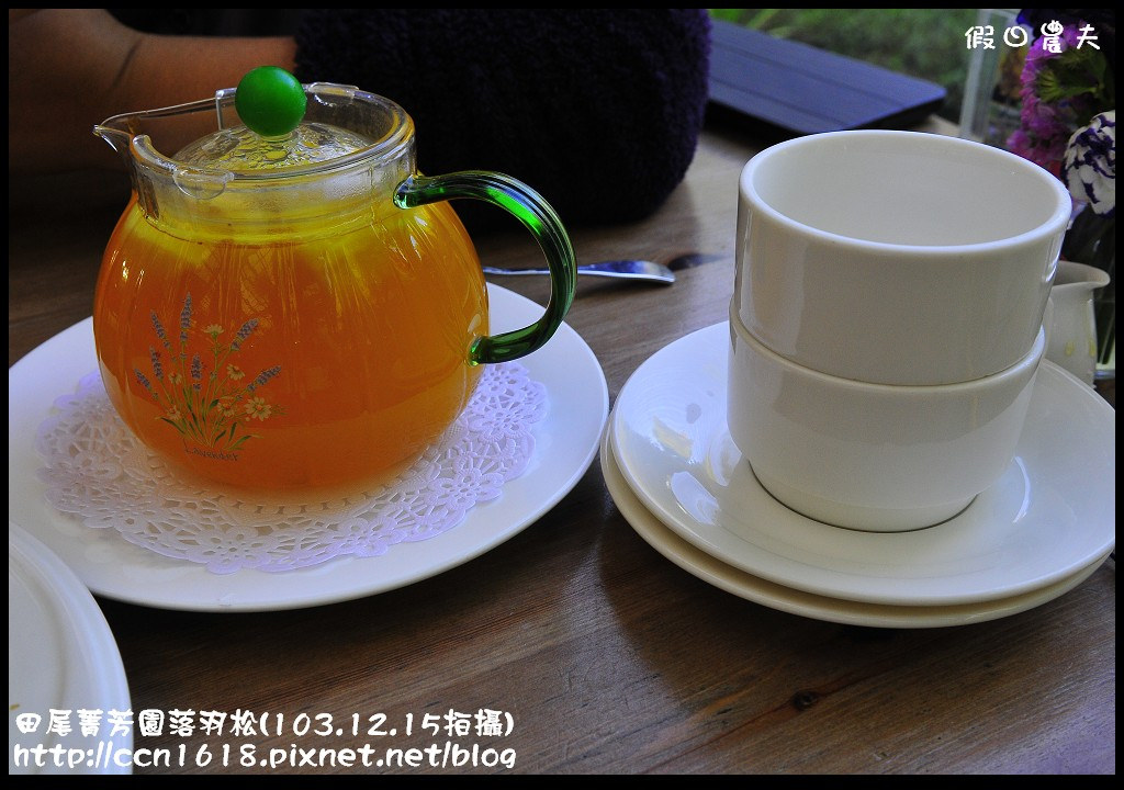 田尾菁芳園落羽松_DSC9008