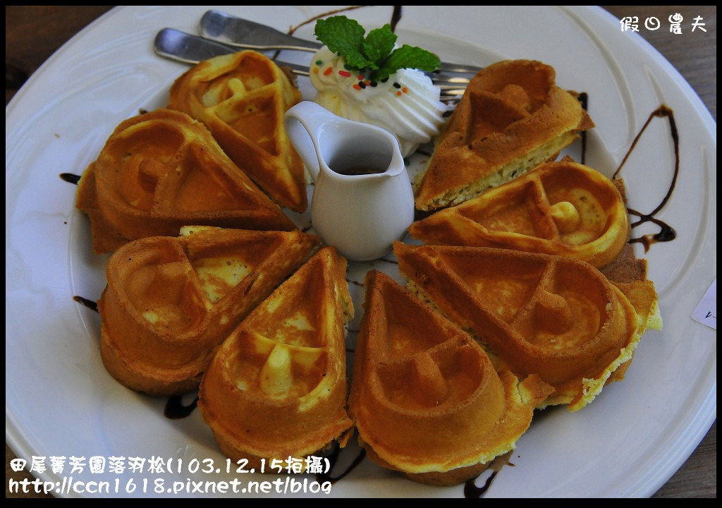 田尾菁芳園落羽松_DSC8988