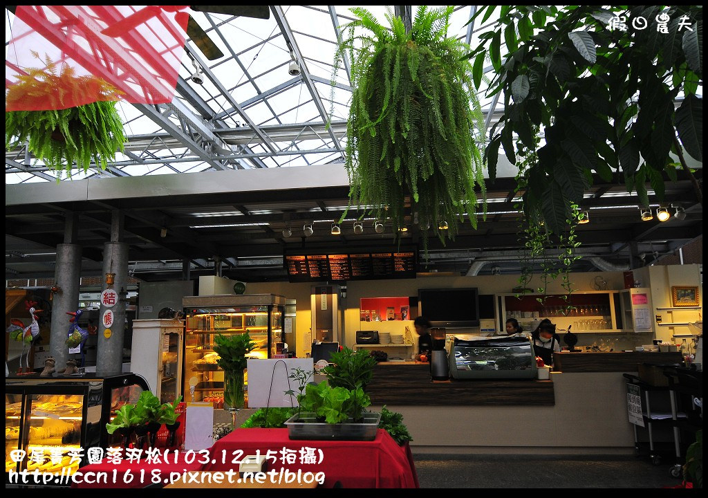 田尾菁芳園落羽松_DSC8946