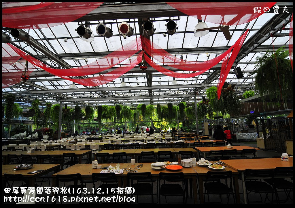 田尾菁芳園落羽松_DSC8945