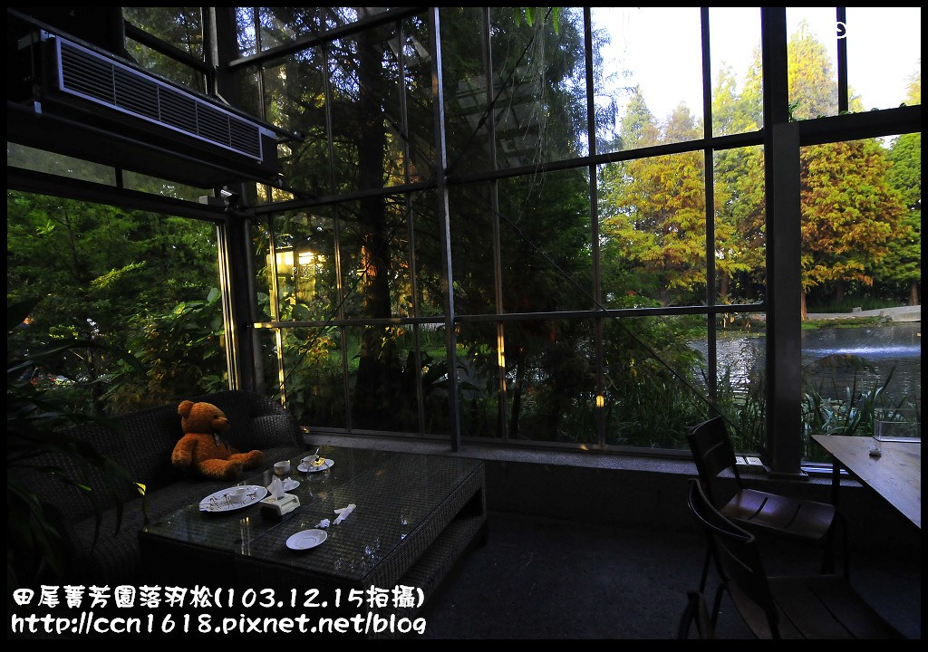 田尾菁芳園落羽松_DSC9101