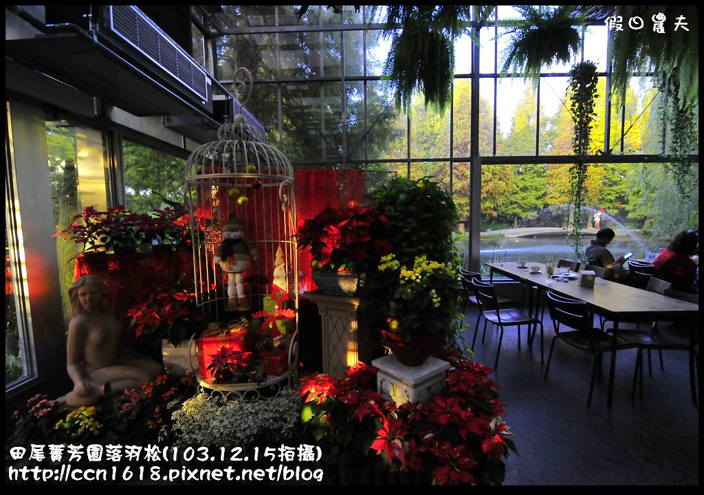 田尾菁芳園落羽松_DSC9103