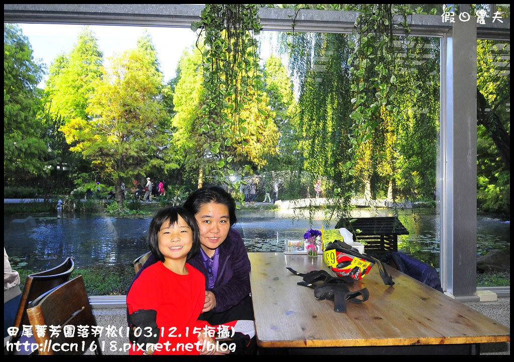 田尾菁芳園落羽松_DSC8962