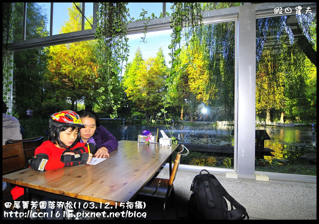 田尾菁芳園落羽松_DSC8957