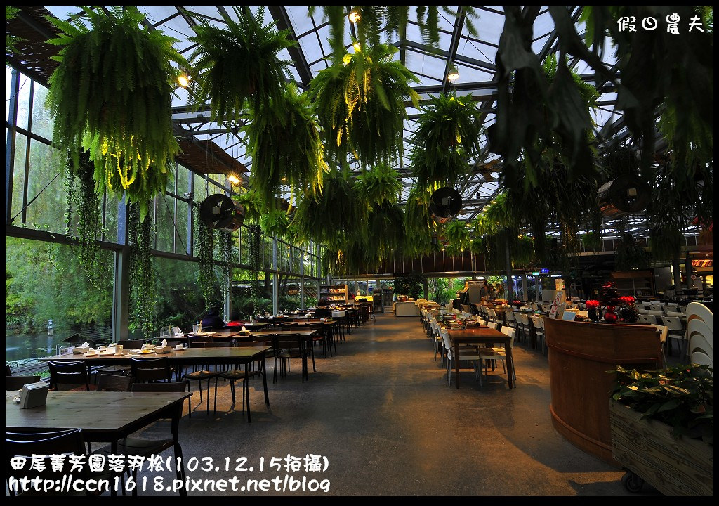 田尾菁芳園落羽松_DSC9148