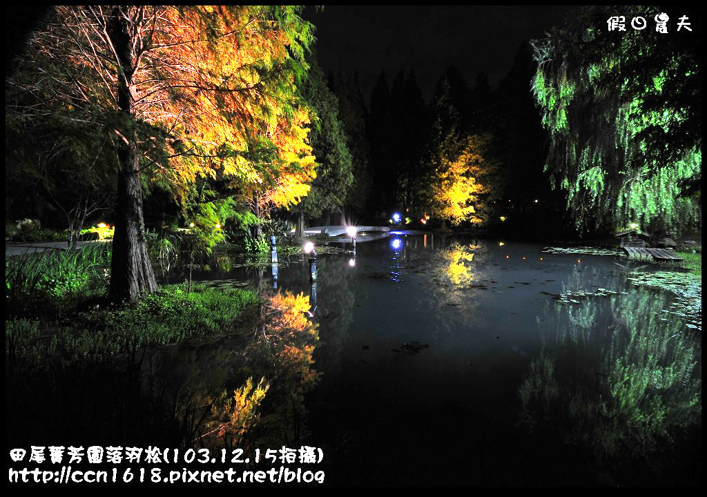 田尾菁芳園落羽松_DSC9229