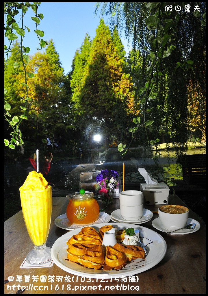 田尾菁芳園落羽松_DSC8999