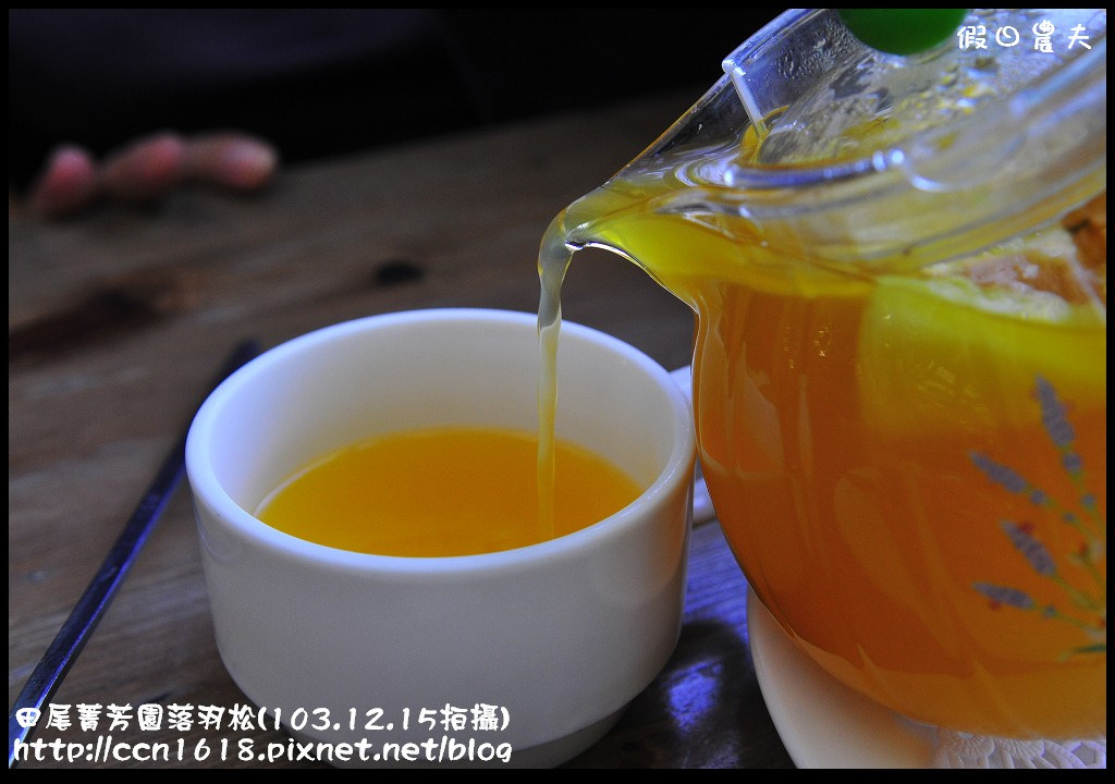 田尾菁芳園落羽松_DSC9014