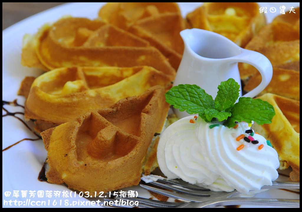 田尾菁芳園落羽松_DSC8991