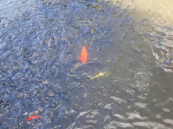 【台北旅遊】大屯山自然公園-美麗的湖畔伴隨著涼爽的微風與美麗的助航站夜景-民航局導航站