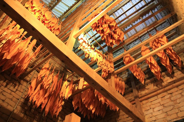 六堆客家文化園區-6