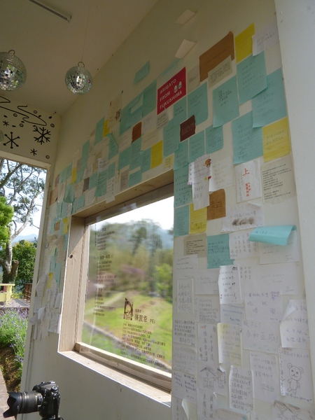 薰衣草森林(尖石店):【新竹尖石】2014薰衣草節,小熊、陽光、蓋印章-薰衣草森林(景觀篇)