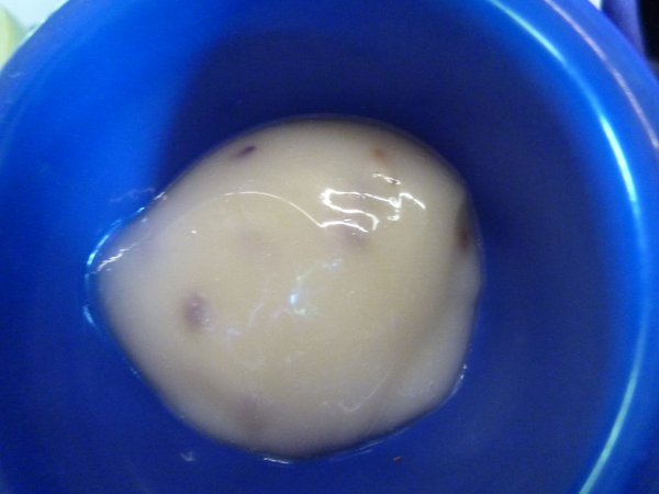 薰衣草森林(尖石店)：【新竹尖石】2014薰衣草節，深山裡的紫色情懷－薰衣草森林(餐廳篇)