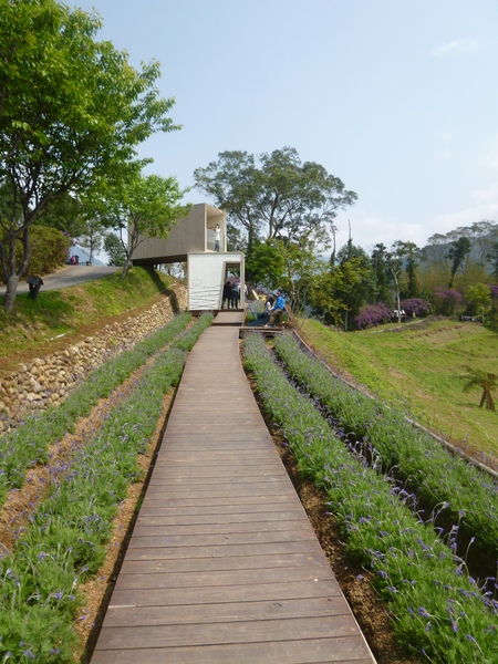 薰衣草森林(尖石店):【新竹尖石】2014薰衣草節,小熊、陽光、蓋印章-薰衣草森林(景觀篇)