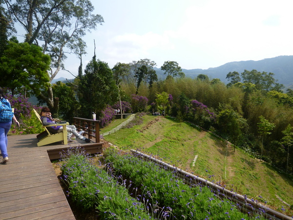 薰衣草森林(尖石店):【新竹尖石】2014薰衣草節,小熊、陽光、蓋印章-薰衣草森林(景觀篇)