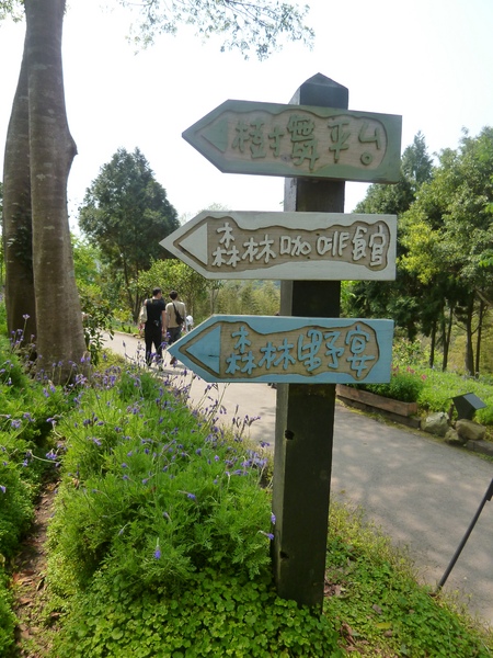 薰衣草森林(尖石店):【新竹尖石】2014薰衣草節,小熊、陽光、蓋印章-薰衣草森林(景觀篇)