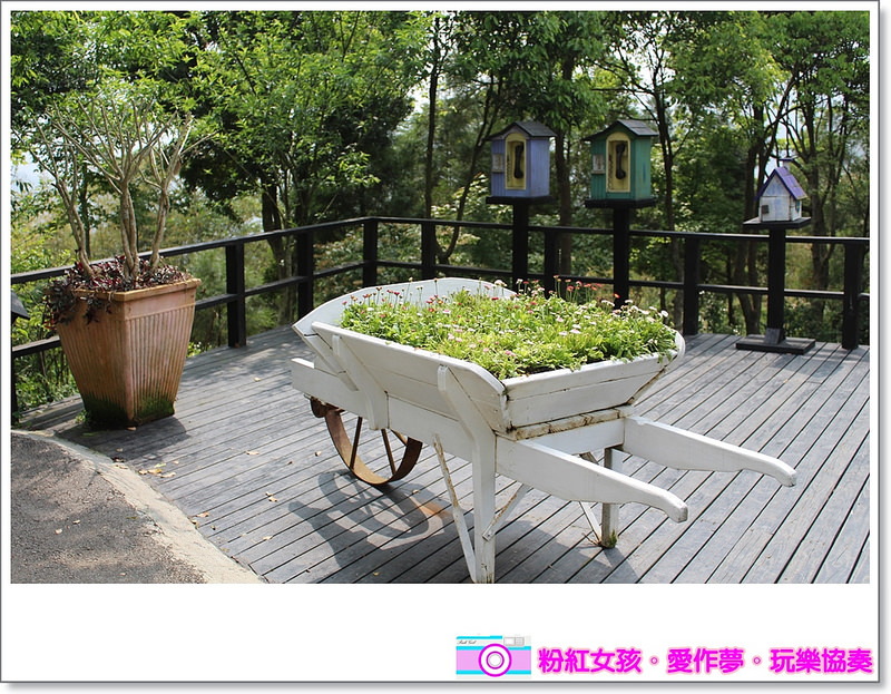 Pink Girl49 2015 04 02