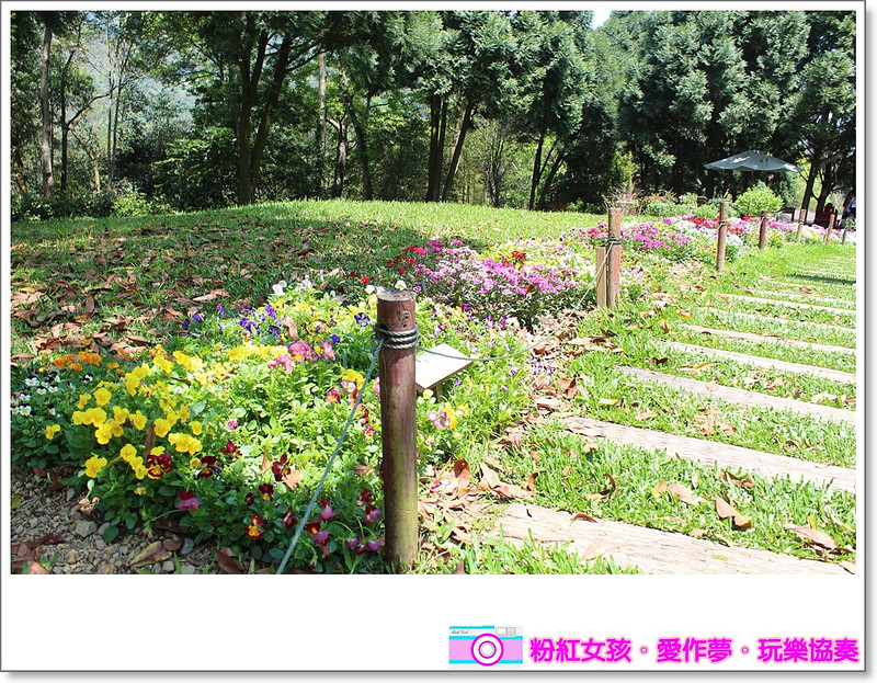 Pink Girl28 2015 04 02