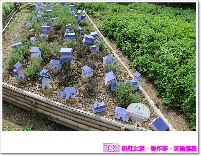 Pink Girl45 2015 04 02